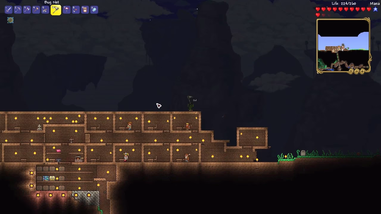 Where can I find Mushi Ladybug in terraria?