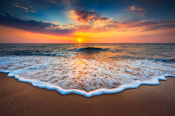 How many free beach landscape images are there?