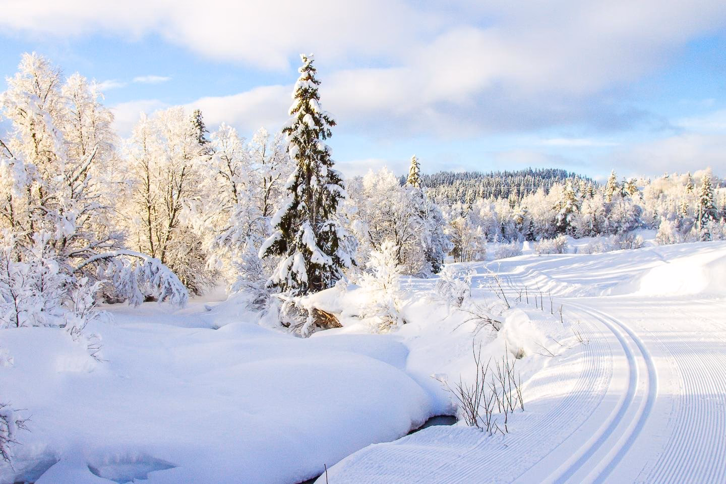 What is a winter landscape with Aurora Borealis?