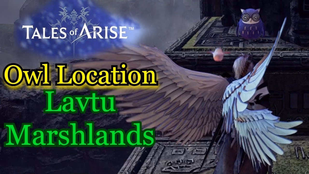 Is lavtu marshalnds worth it?