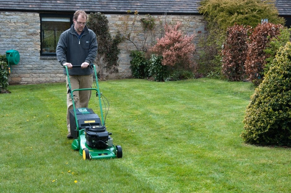 Is mowed a past tense?