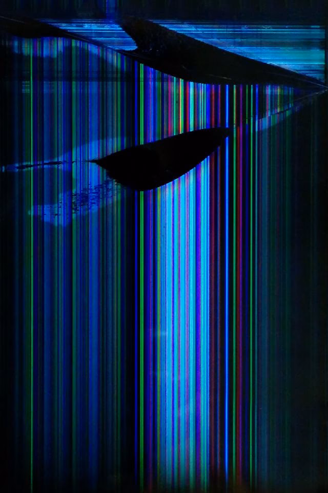 How many HD LCD screen wallpapers are available on pngtree?