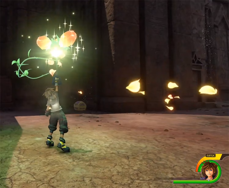 Is leaf bracer worth it?
