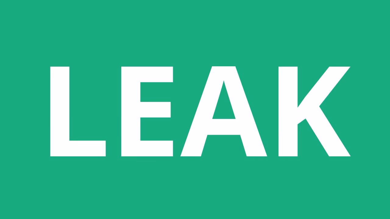 ¿Cuál es el significado de Leak?