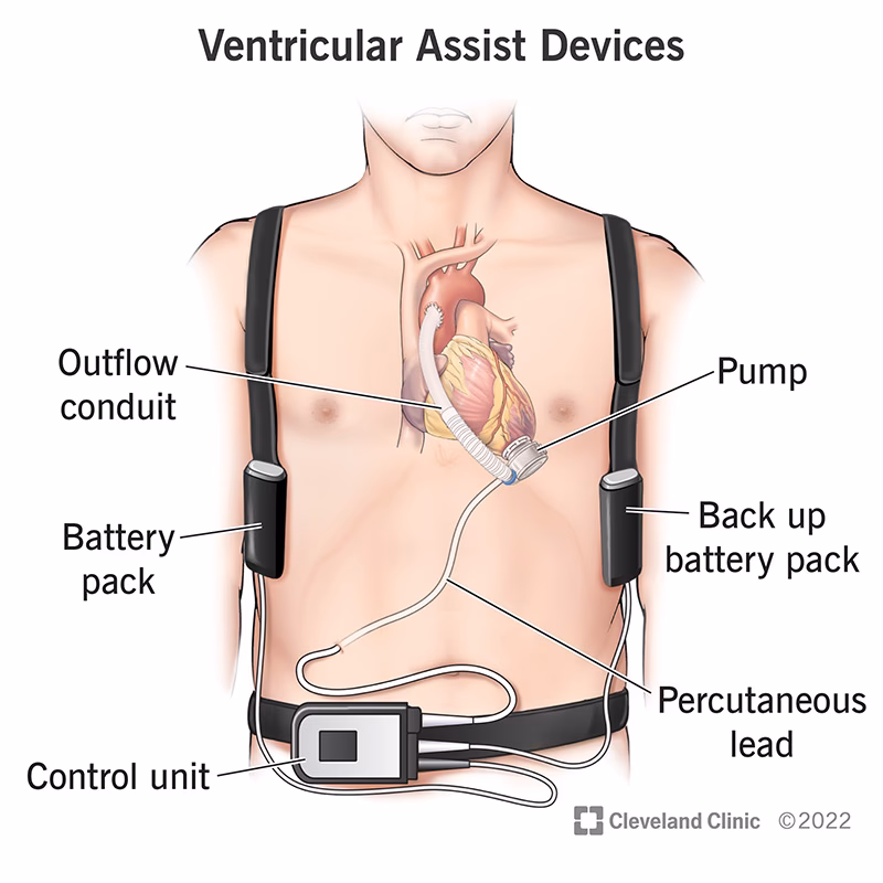 What is cardiac power output?
