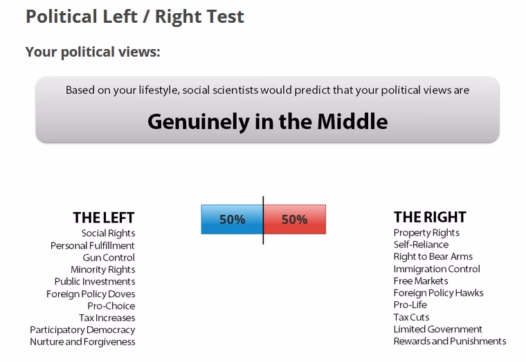 What is left wing politics?