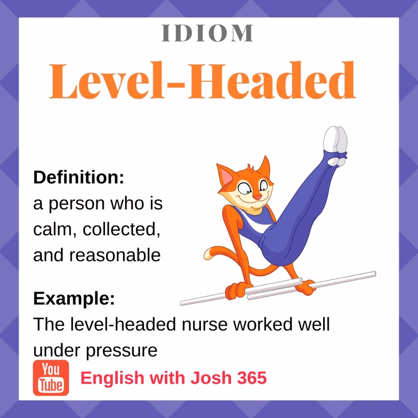 What does it mean to be a level-headed person?