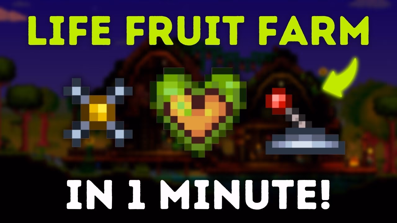 What is a life fruit?