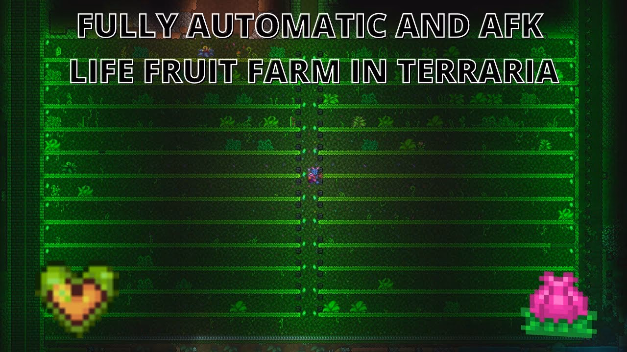 What is life fruit in terraria?