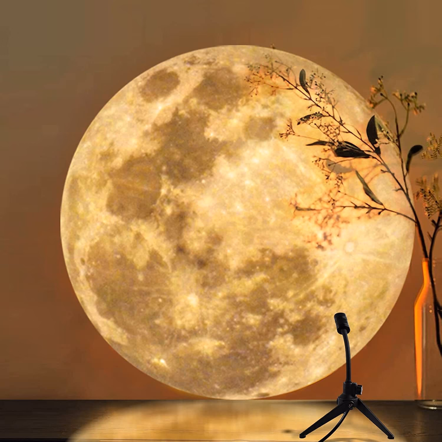 What is Light of the Moon?