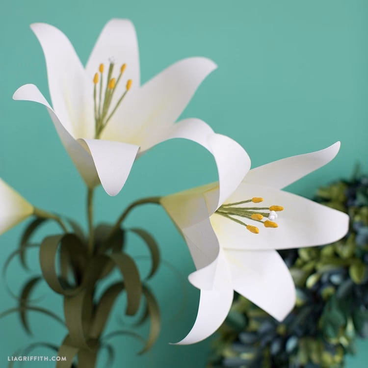 How to make origami Lily?
