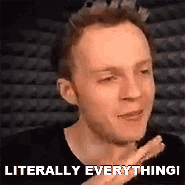 What is a 'literally Me' character?
