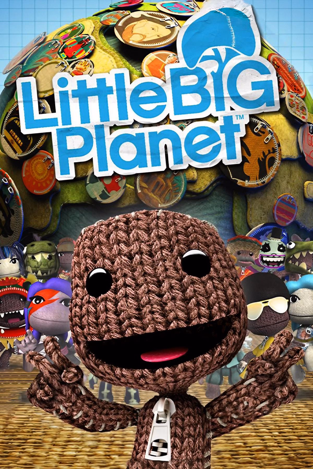 ¿Cuántas páginas tiene Little Big Planet?