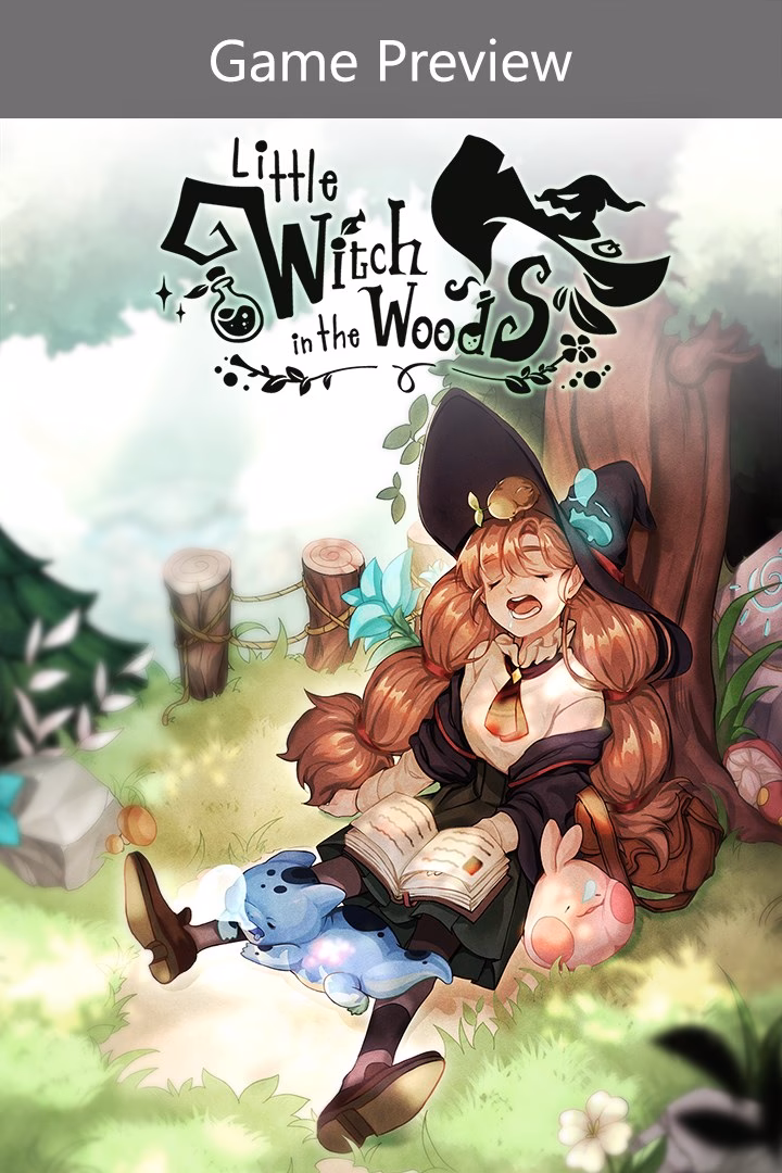 What is little witch in the woods about?