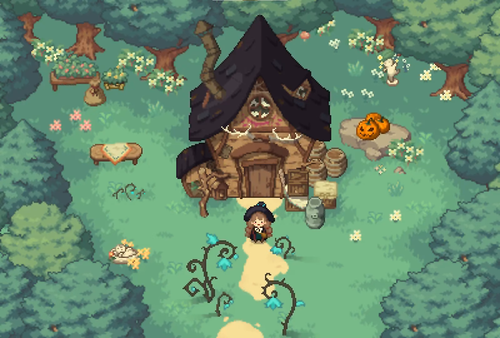What is little witch in the woods about?