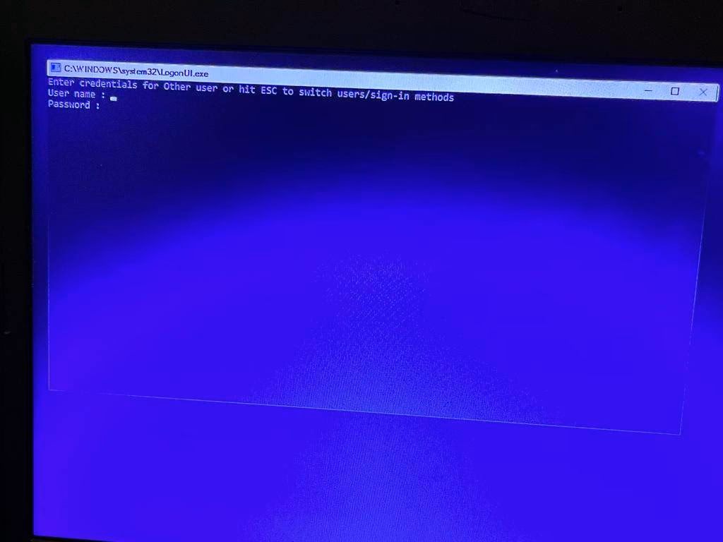 What does logonui error mean?