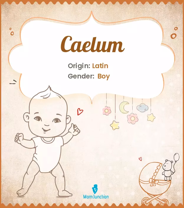 What does Regis Lucis Caelum - Noctis dad mean?