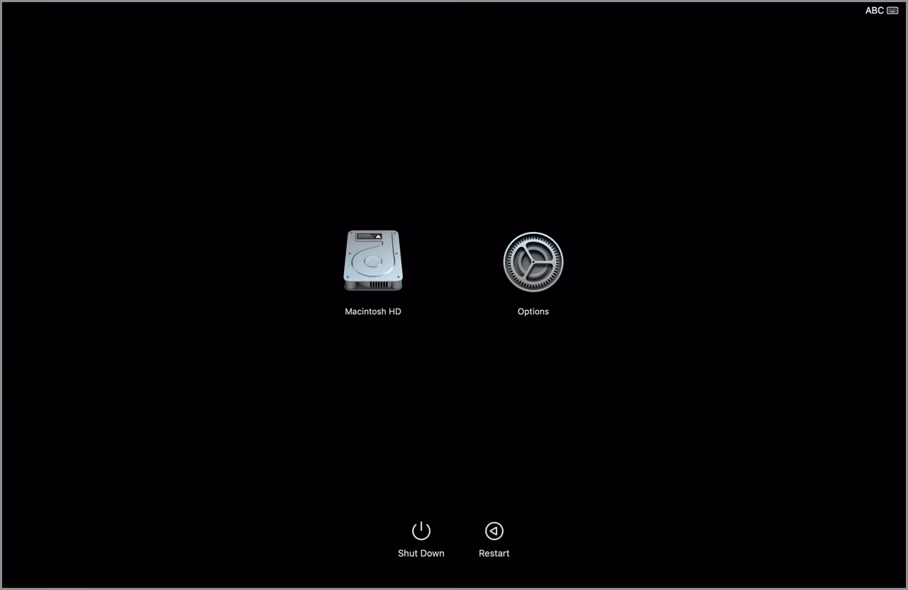 What are some common Mac boot issues?