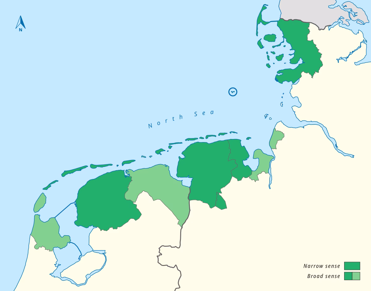 How were Frisian kings defined?