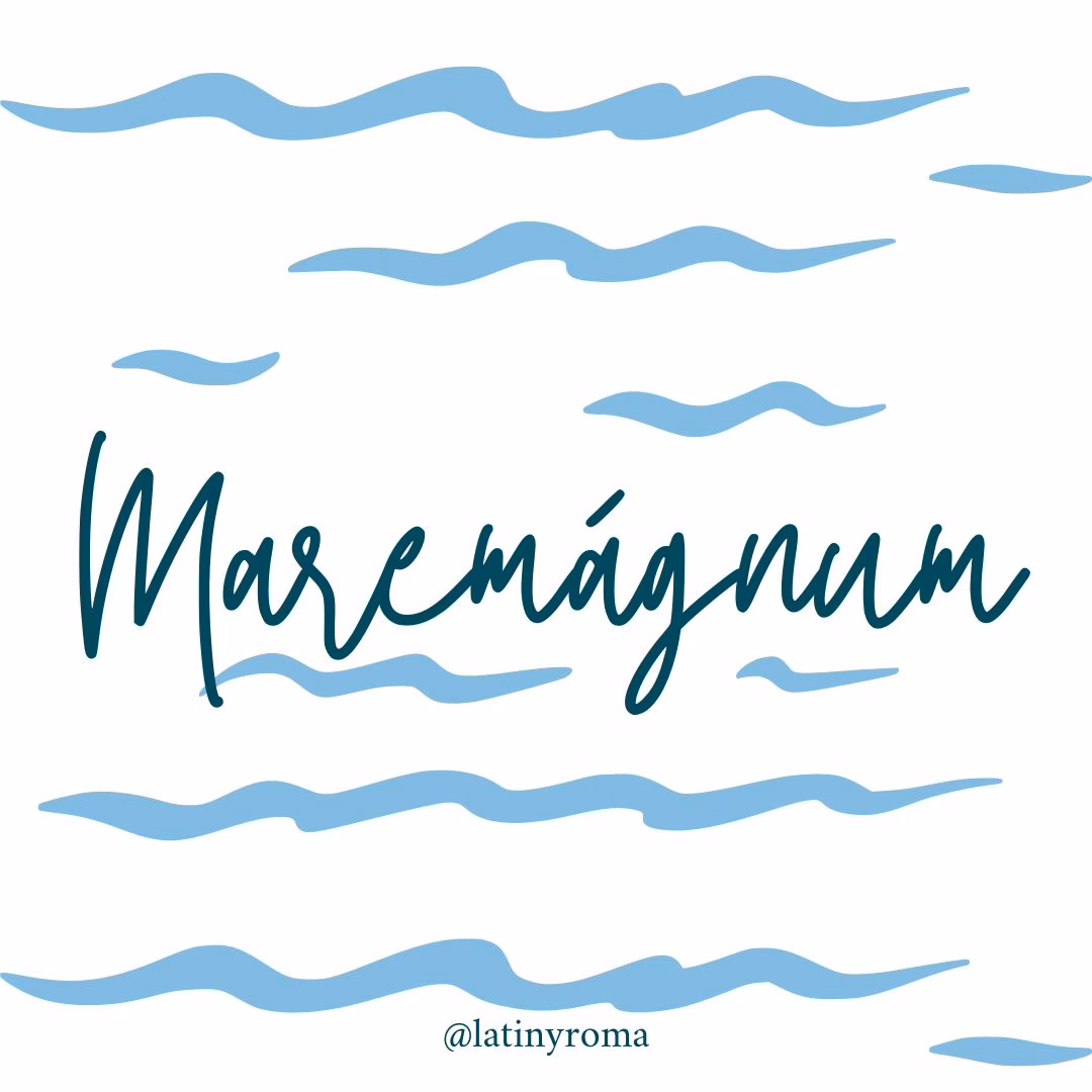 ¿Qué es efectivo Magnum L?