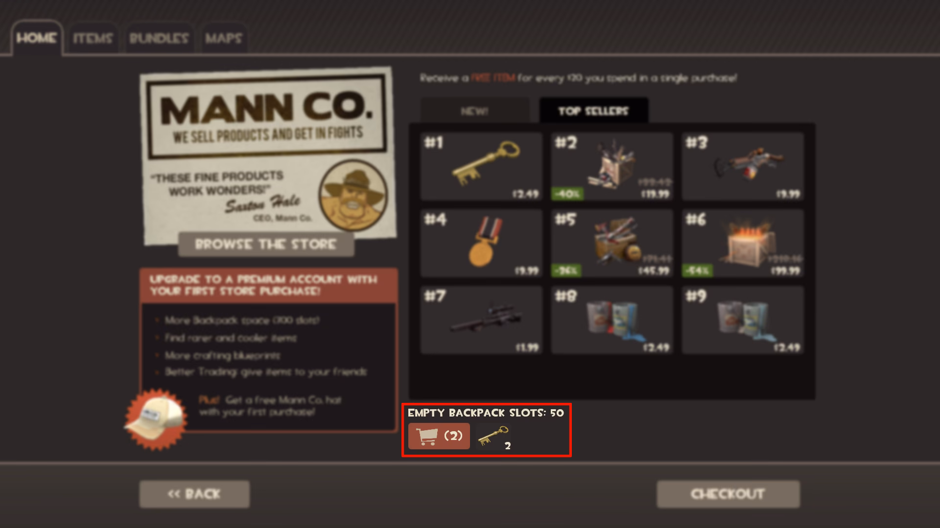 What is the Mann Co store in Team Fortress 2?