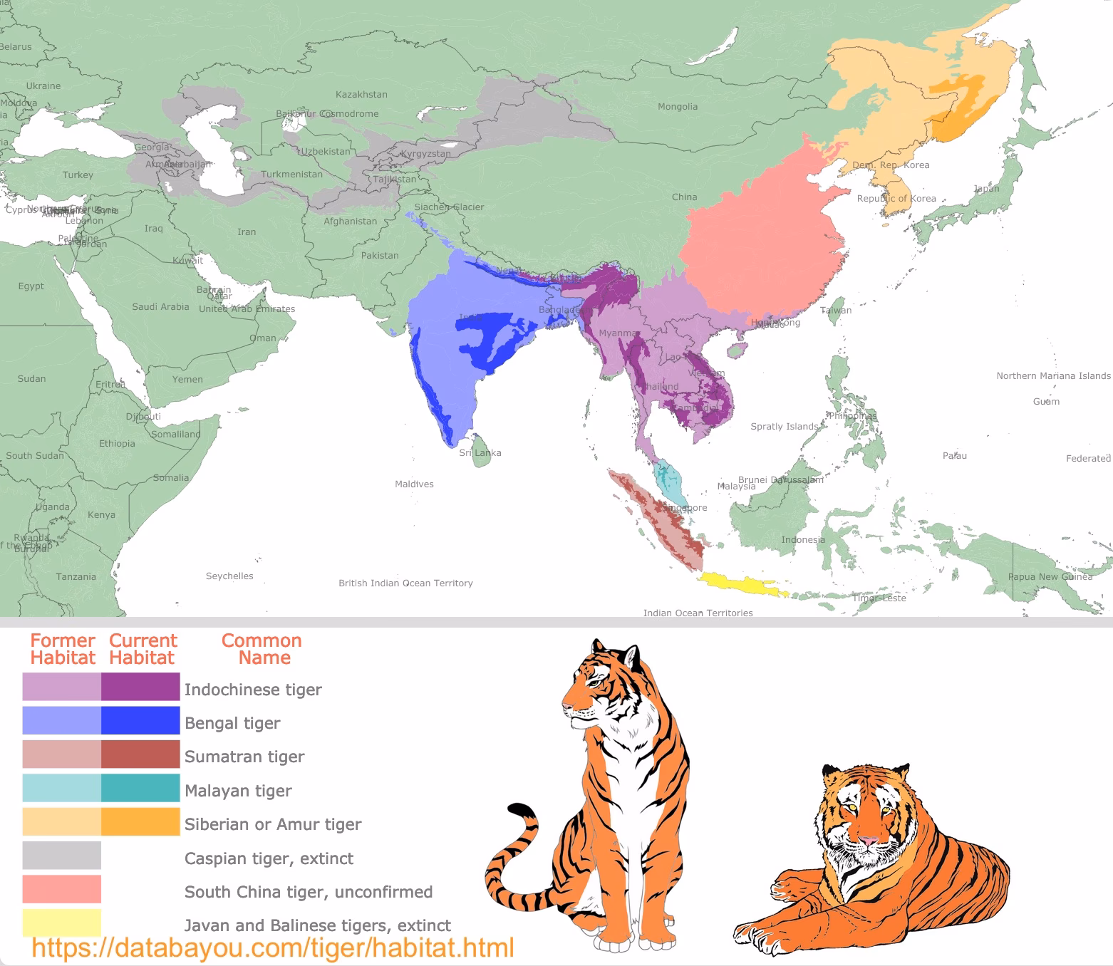 Where does a Tiger Live?