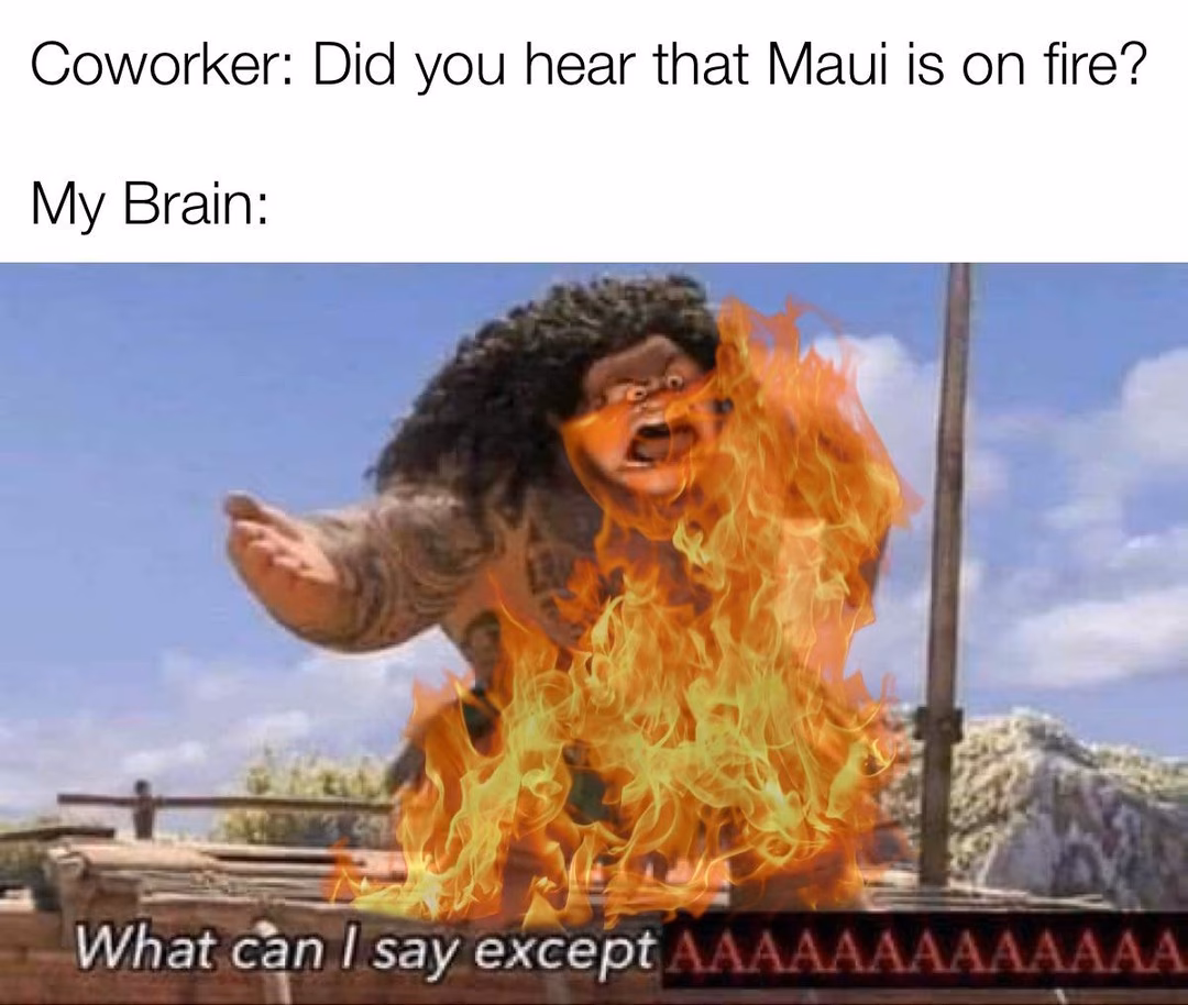 Can online learners understand Maui?