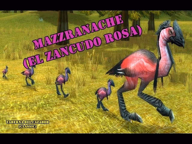 Is mazzranache tameable?