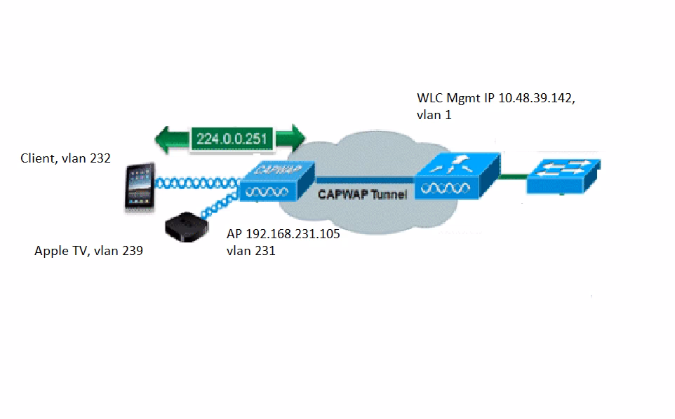 How to update mDNS?