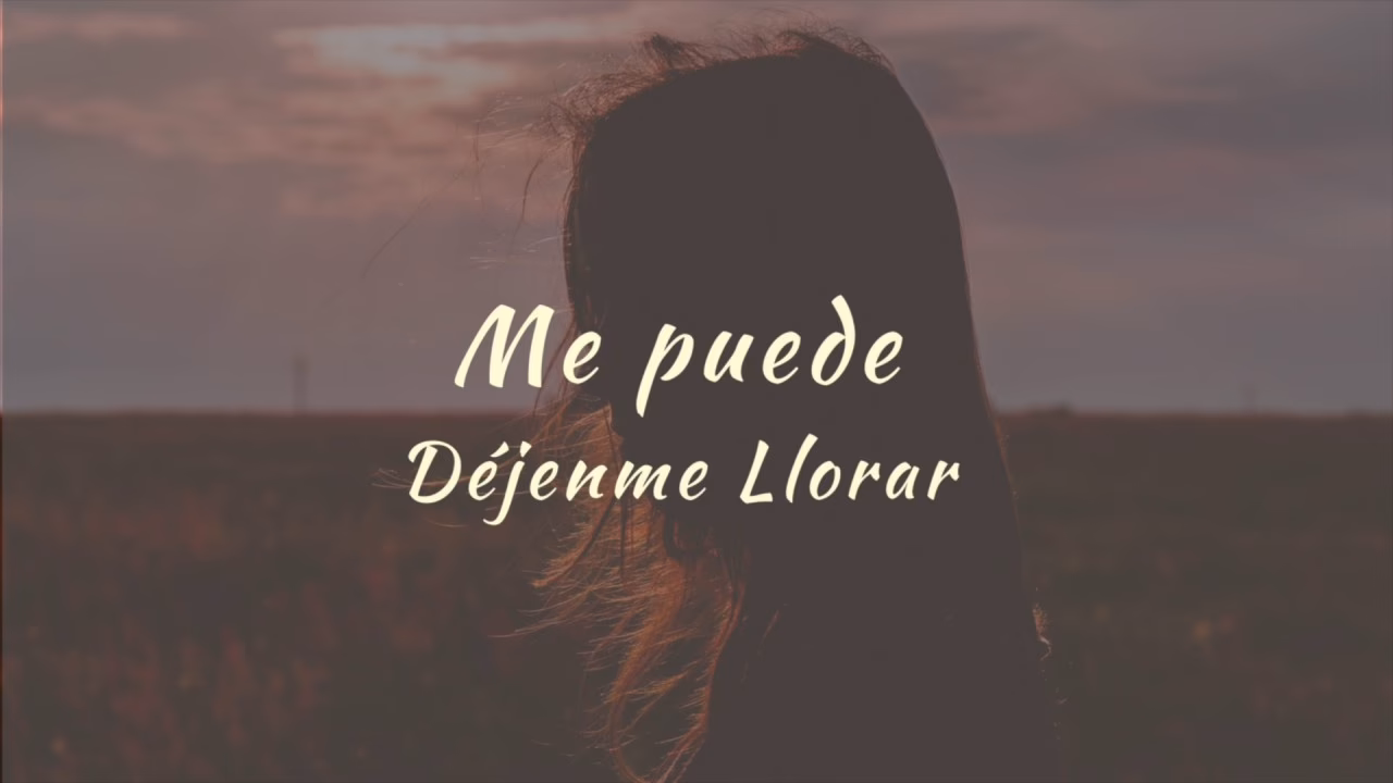 ¿Qué significa dijo que no podía continuar con?