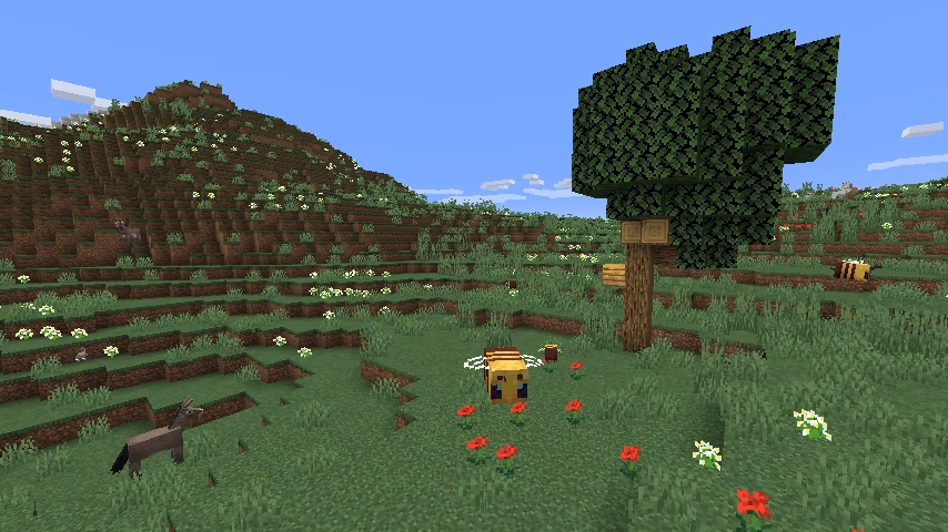 What is the weather like in the meadow biome?