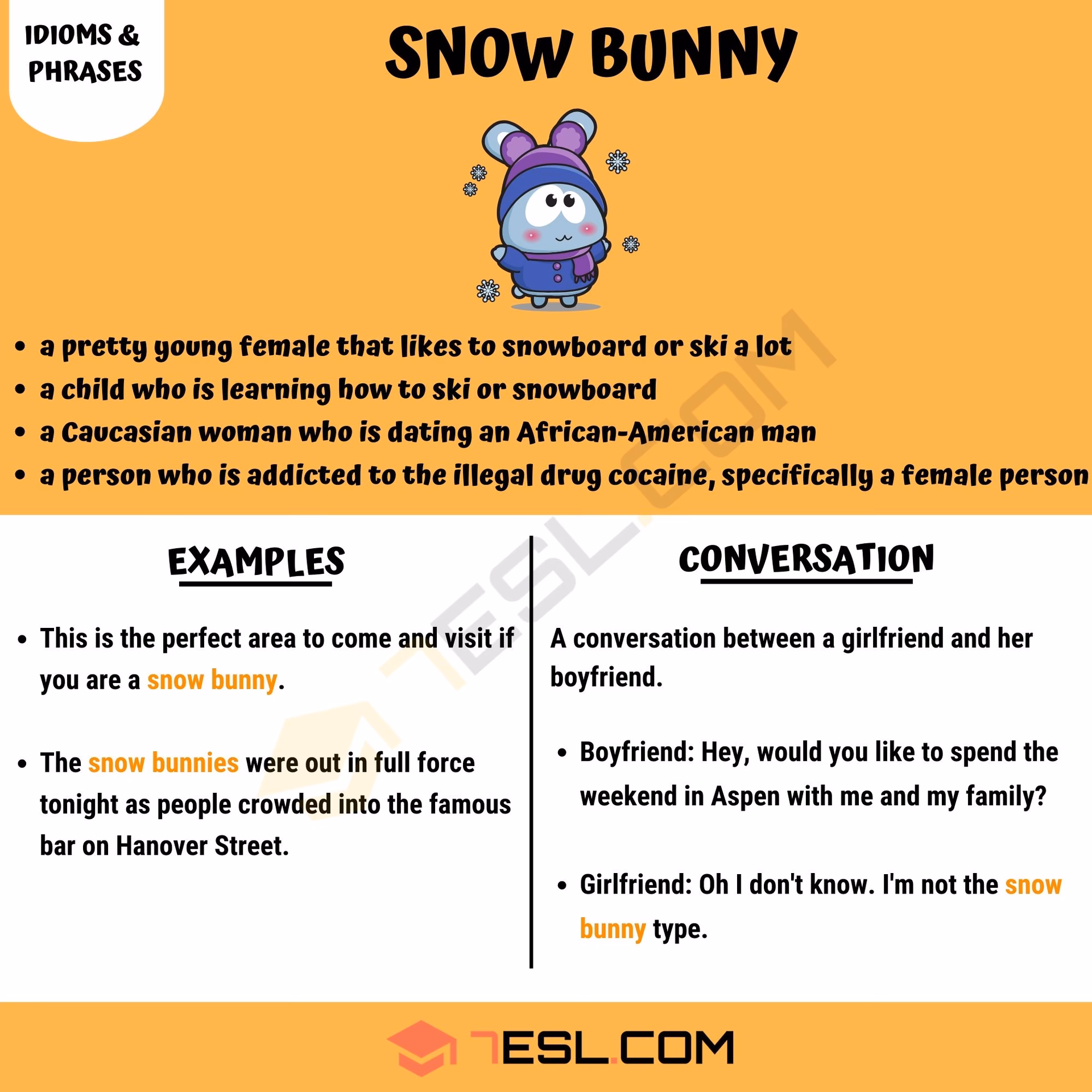 What does a snow bunny look like?