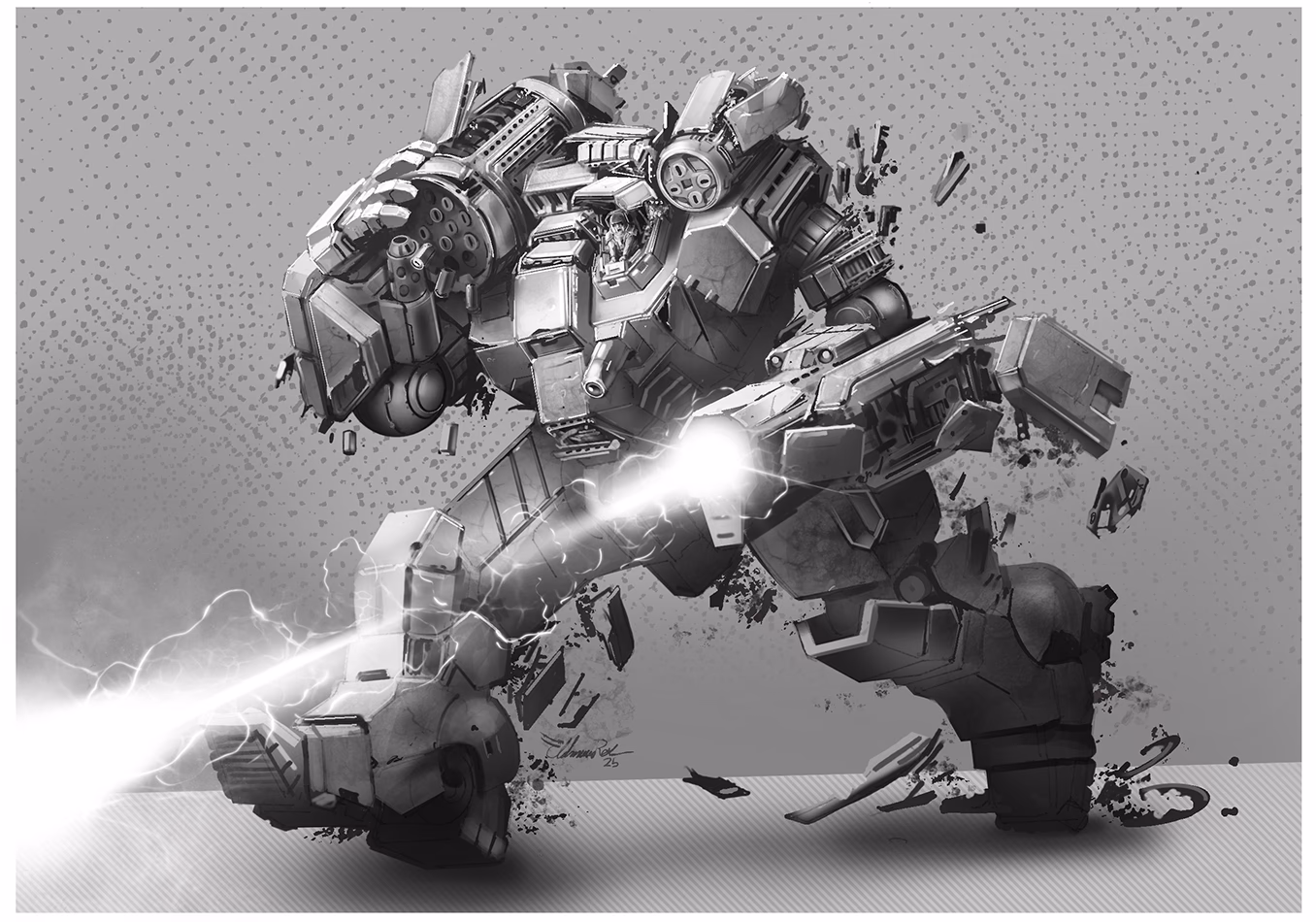 What does mechs stand for?