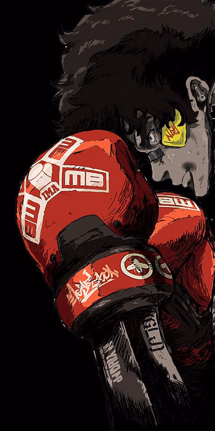 What was the outcome of Megalo Box's first season?