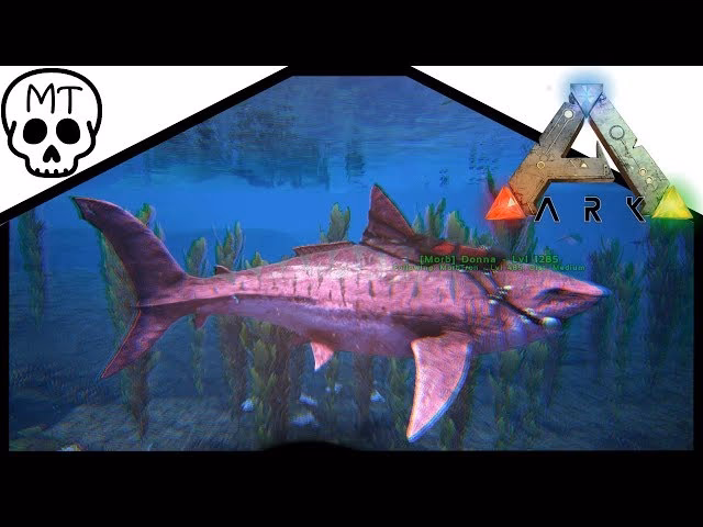 Does the Alpha Megalodon bite the target?