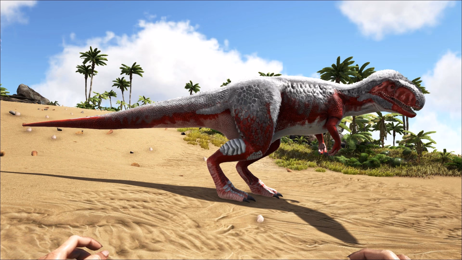 Do you know a Megalosaurus Ark guide if you see a sleeping Dino?