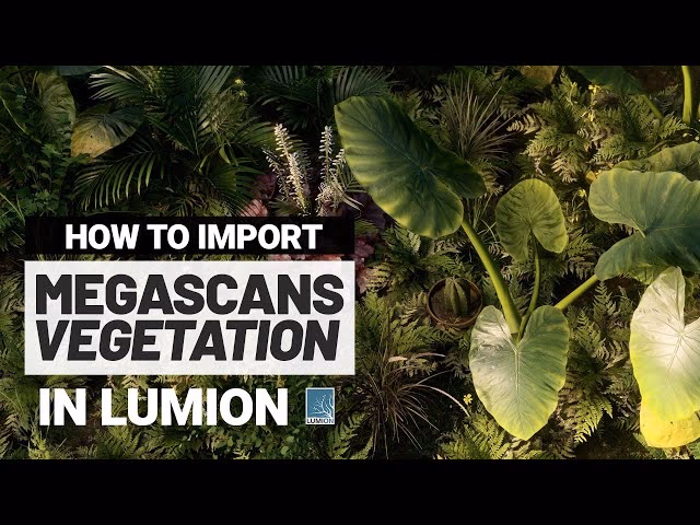 Does Lumion support HDRI?