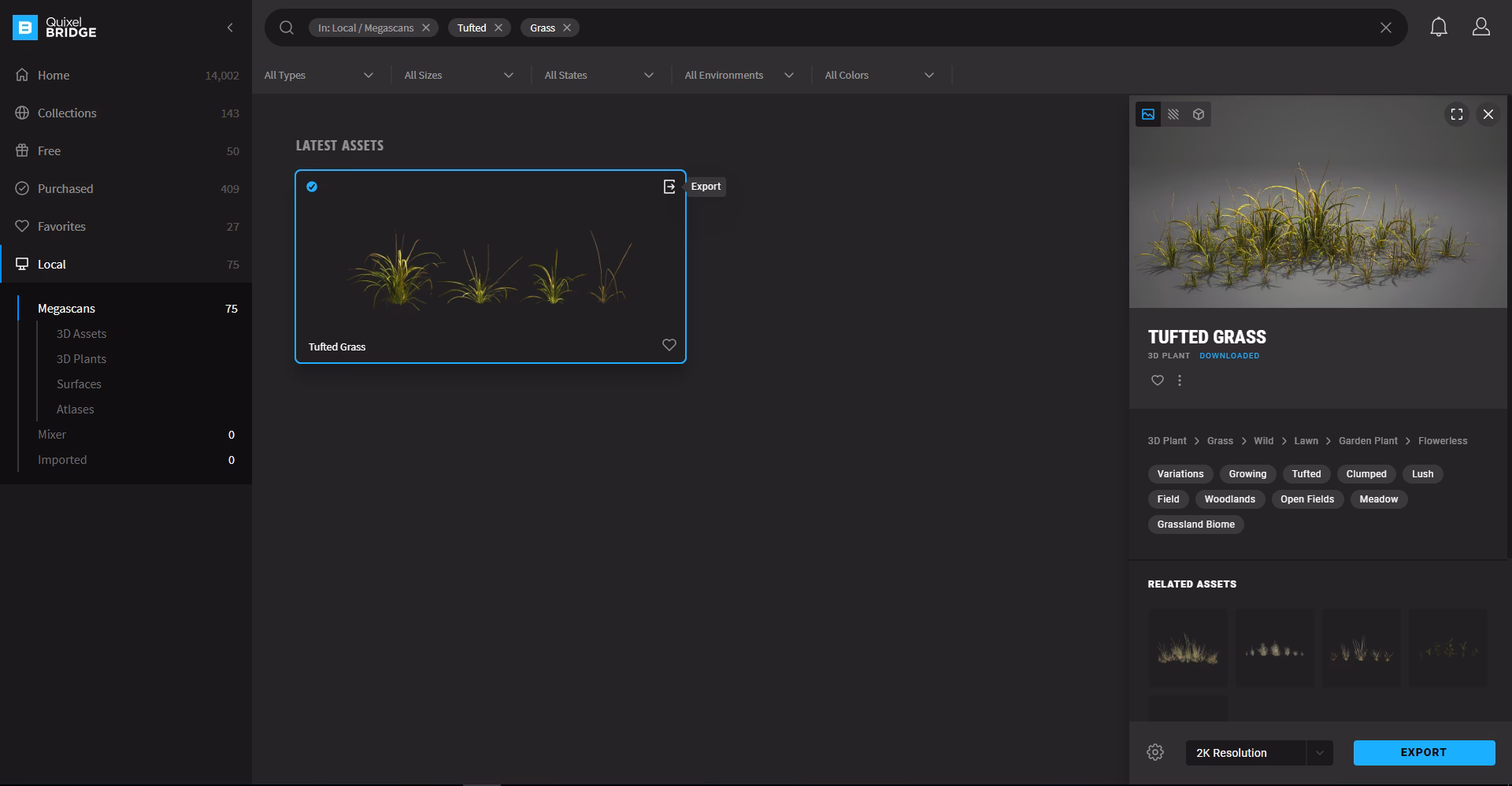 How to use megascans bridge in Blender?