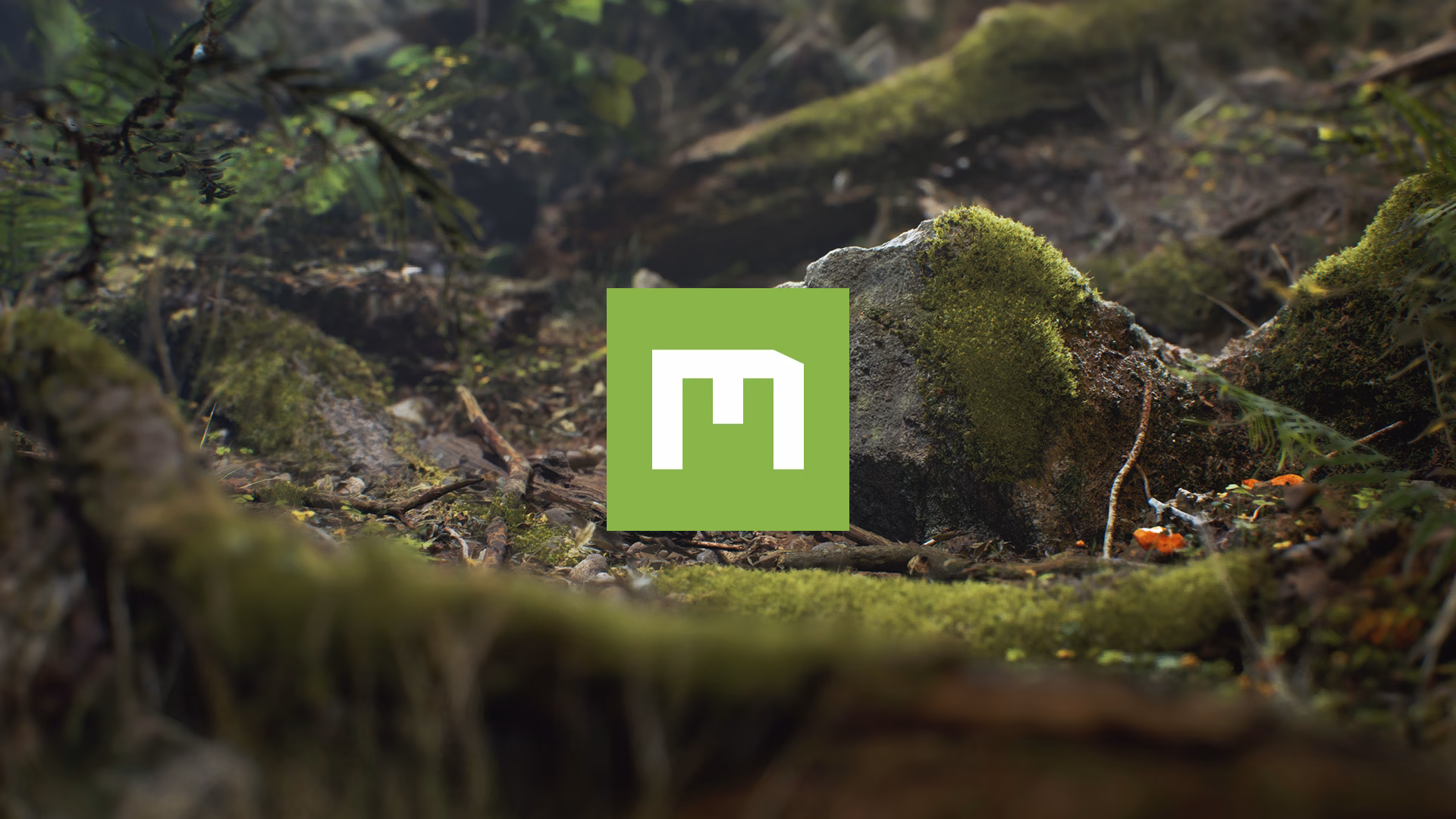 What's new in Quixel megascans?