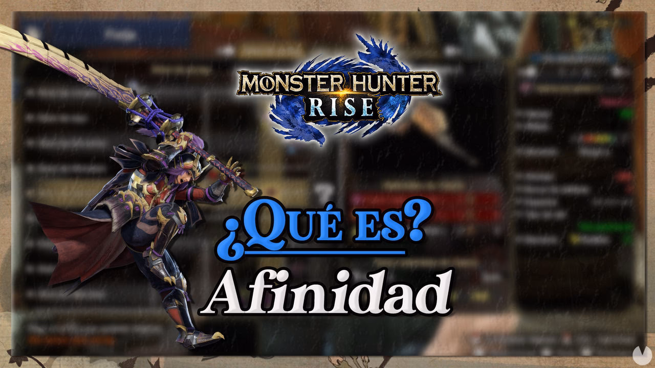 ¿Cómo funciona monsterhunter?