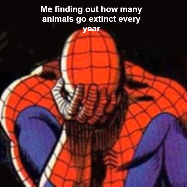 ¿Qué pasó con el meme de Spider-Man?