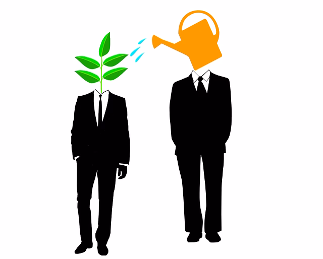 ¿Qué es un programa de mentoring?