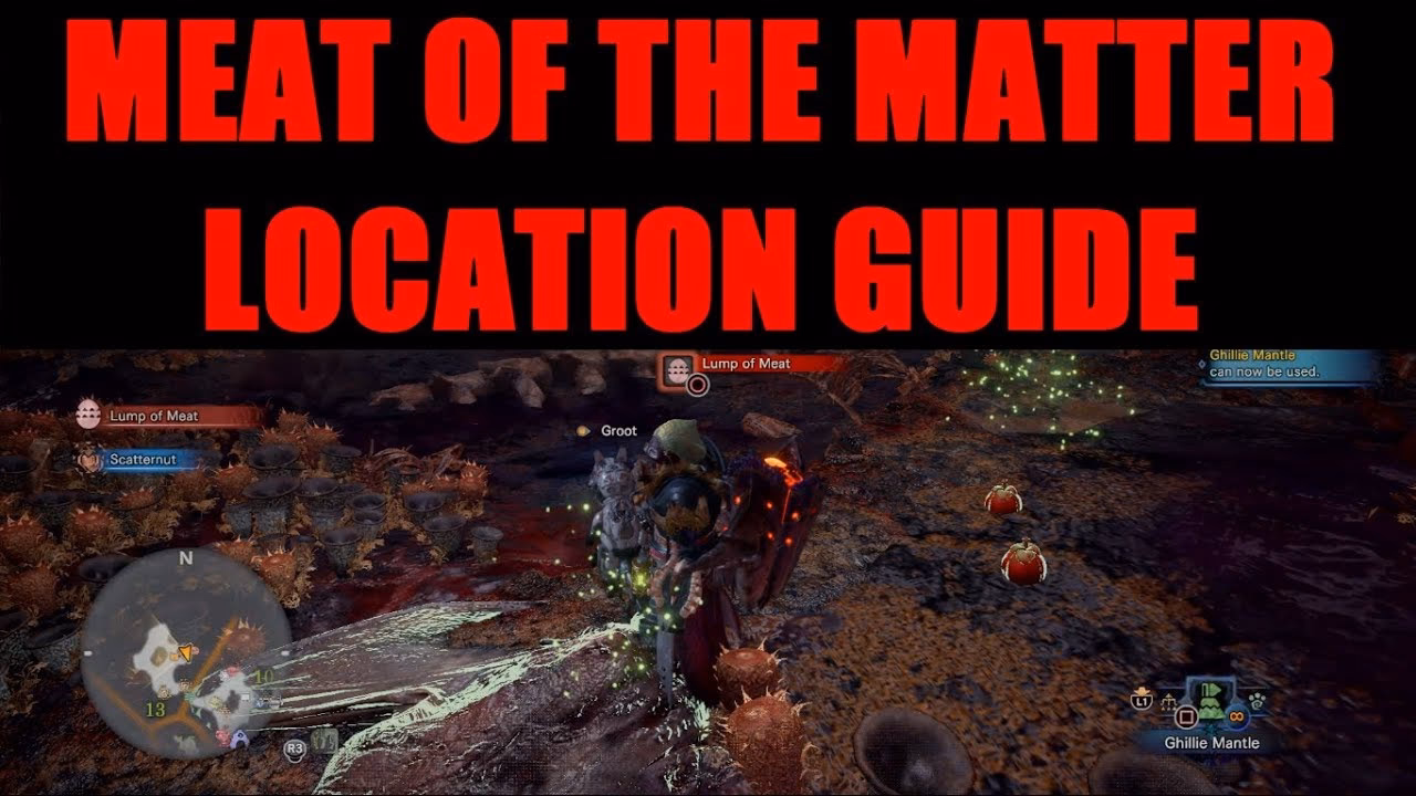 What is lump of meat from Monster Hunter World (MHW)?