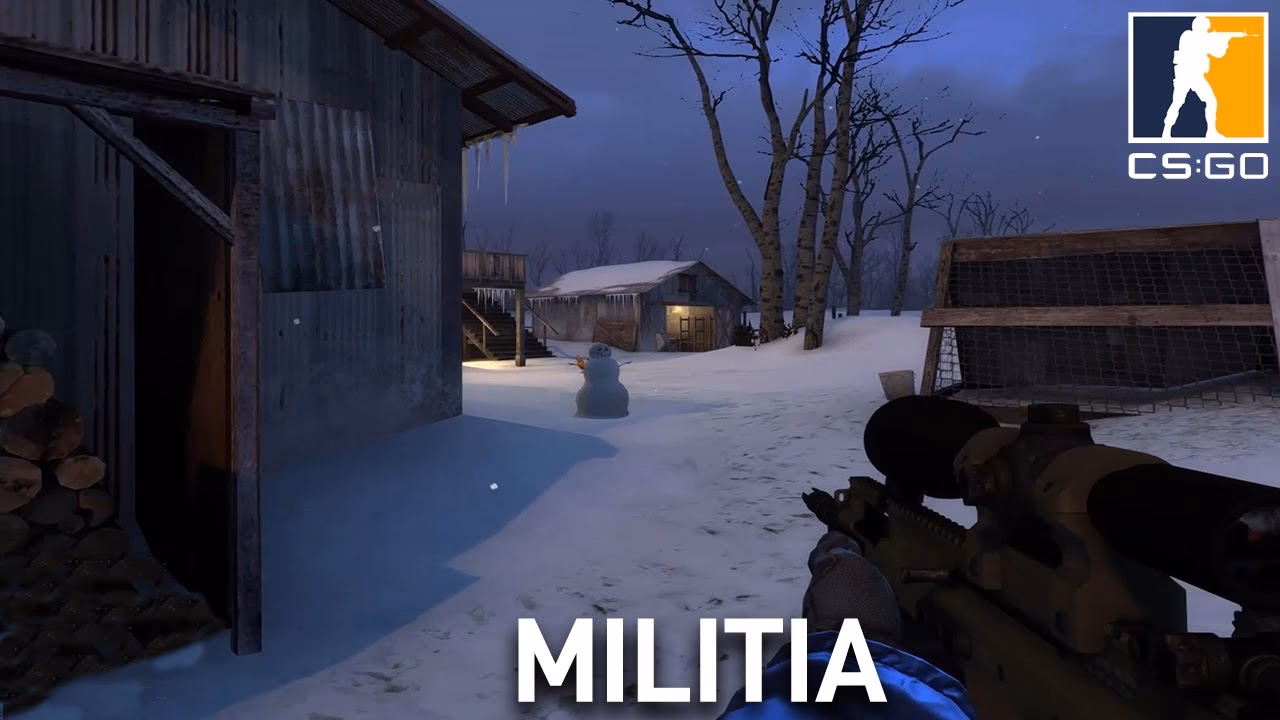 What faction is Midwest Militia in Counter-Strike?