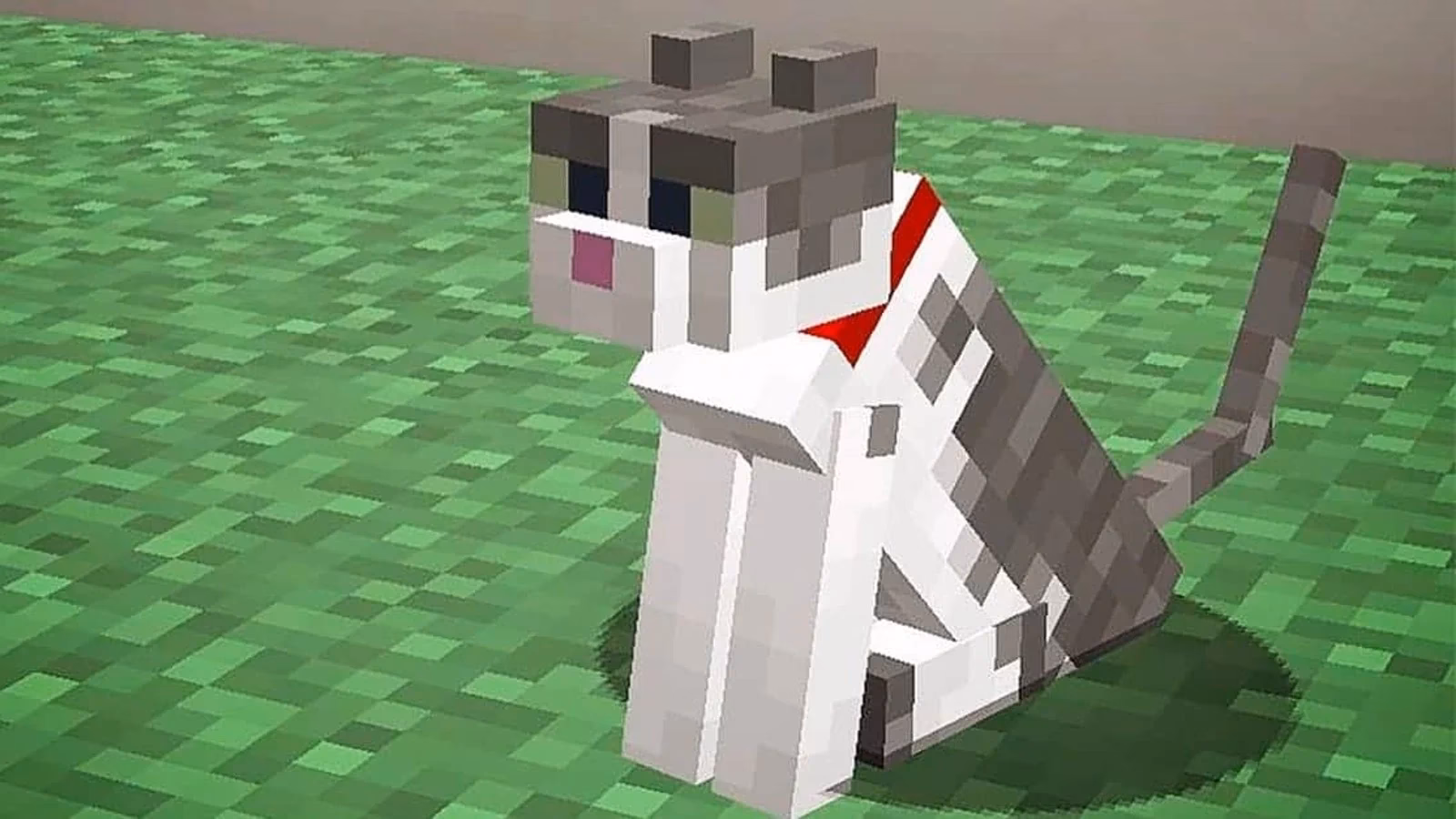 What are the different types of tamed cats in Minecraft?