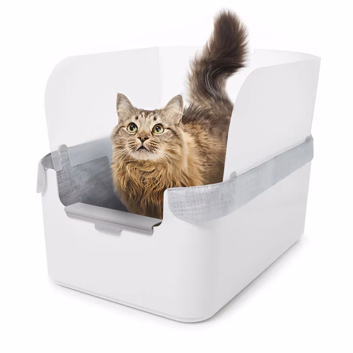 What is the cats+ add-on in Minecraft?