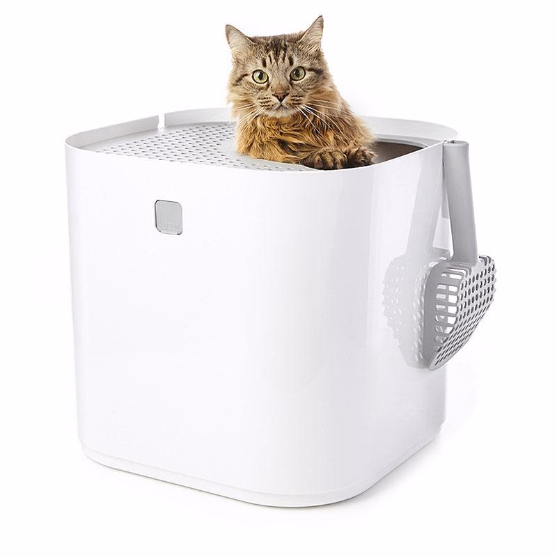 What is a cat mod in Minecraft?