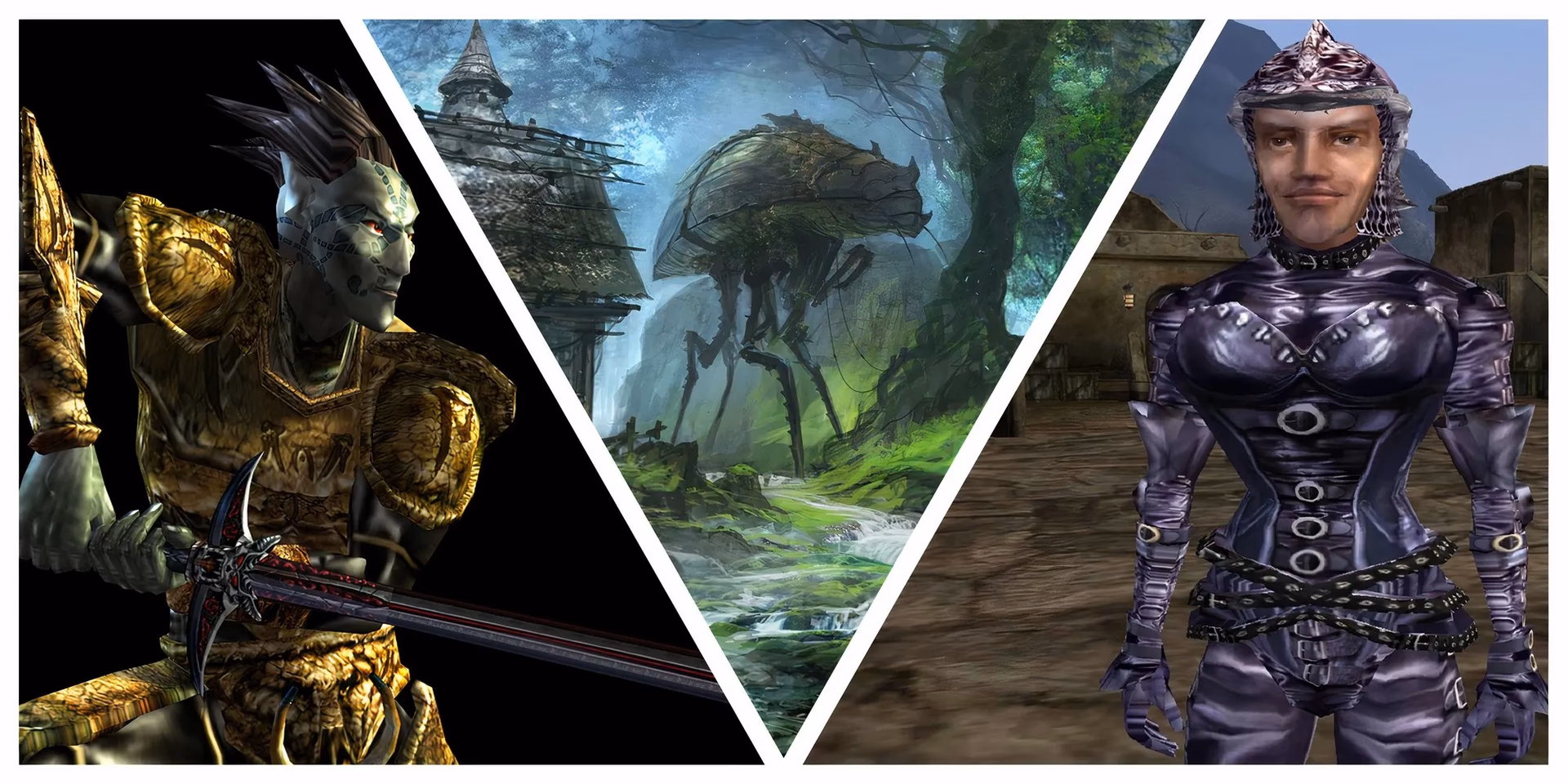 What can I do with Morrowind?