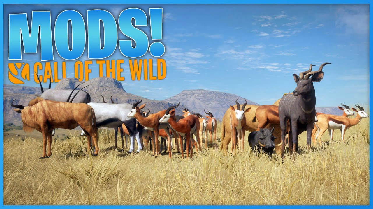 Does reshade work in Call of the wild?