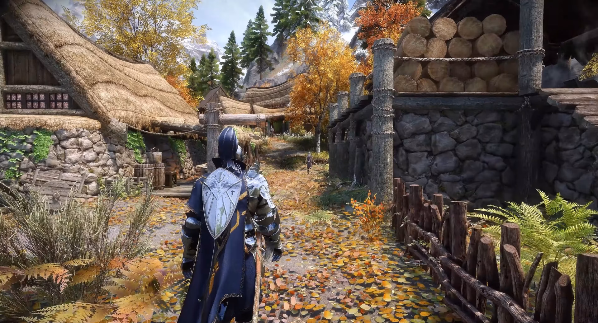 What's new in Skyrim mod?
